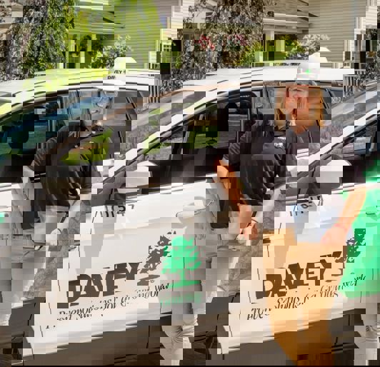 Davey Experience Arborist