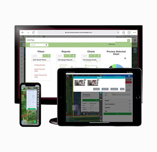 vegetation workflow management software