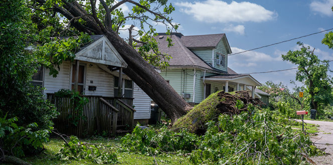 Adobestock 854336194