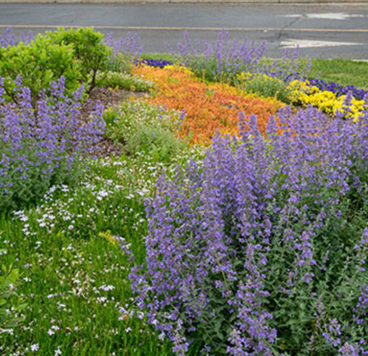 Benefits Of A Sustainable Landscape Sideimage2