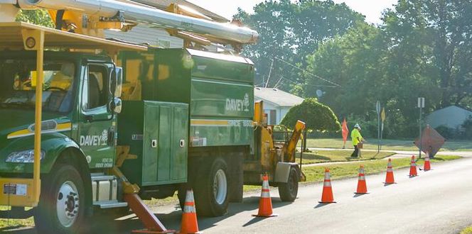 Utility Line Clearance Banner
