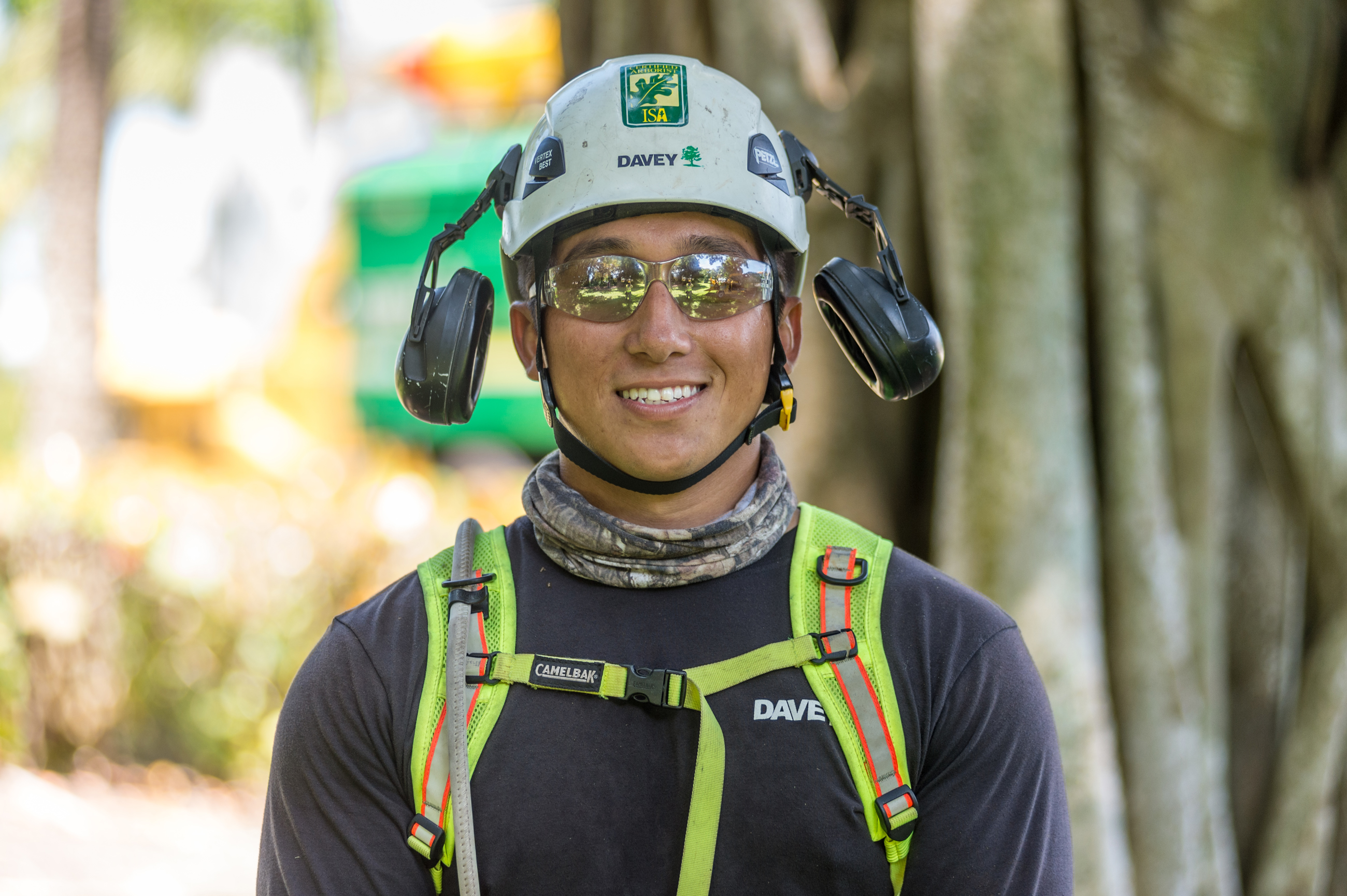 Commercial Tree Care Services | Davey Tree