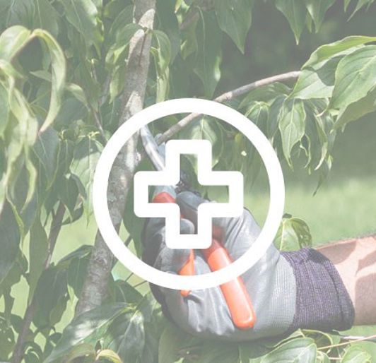 Physical Damage Alt 640X426