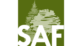 Saf