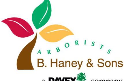 10 2019 B Haney A Davey Company 500X500