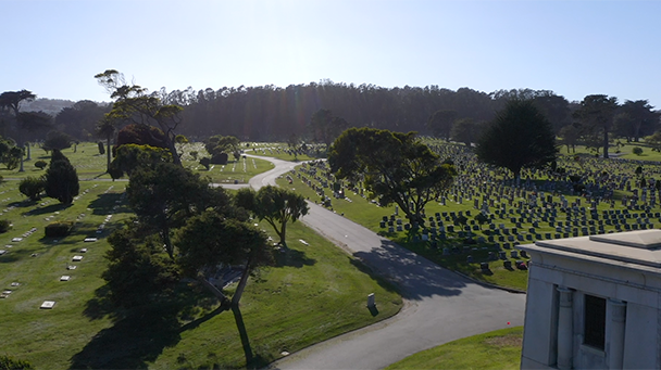 Cypress Lawn Cemetery Maintains Park-Like Atmosphere With Davey ...