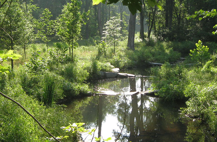 Project Profile Fairfax County Banner 1440X500