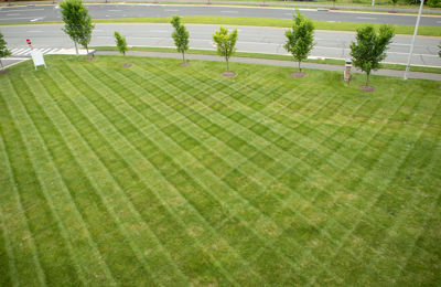 Lawn Maintenance