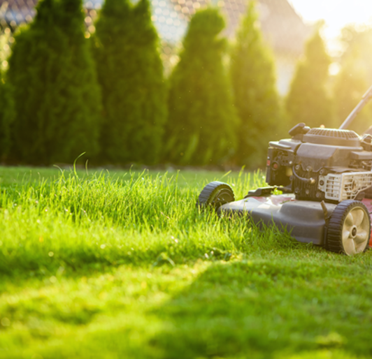 Mowing Stock