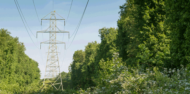 Utility Banner Stock