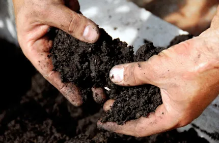 Garden Soil Stock