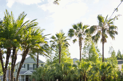 Florida Banner2