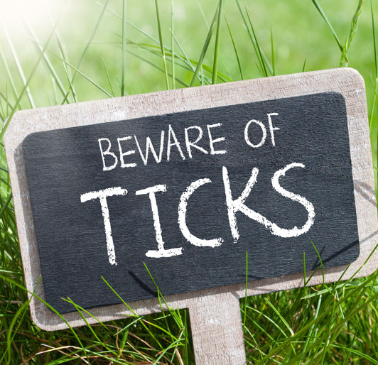 Beware Of Ticks