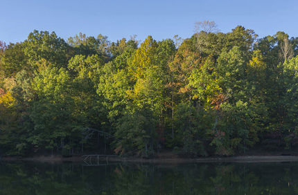 Project Profile Charlotte Banner 1440X500