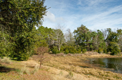DSC 1900