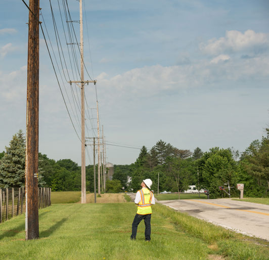 NESC Inspections