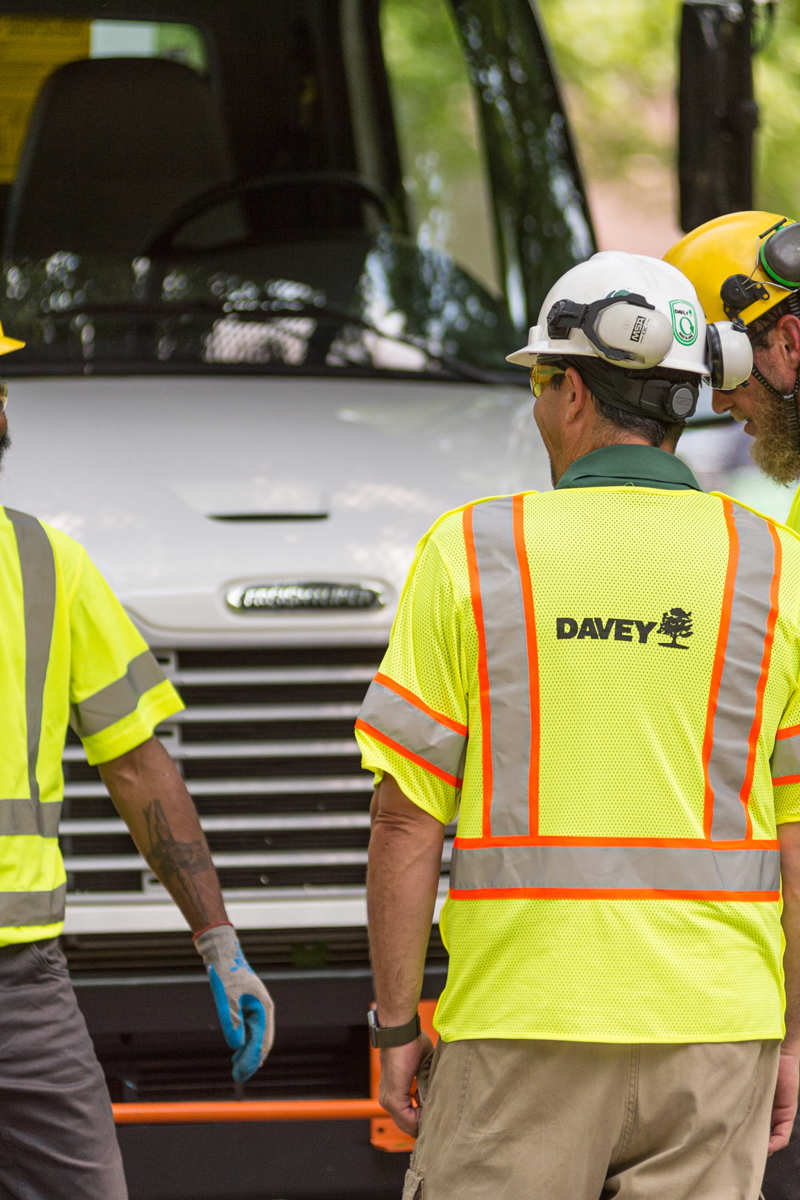 Utility Crew