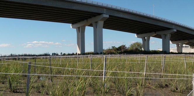 Project Profile Nj Route 52 Causeway Replacement Project Banner 1440X500