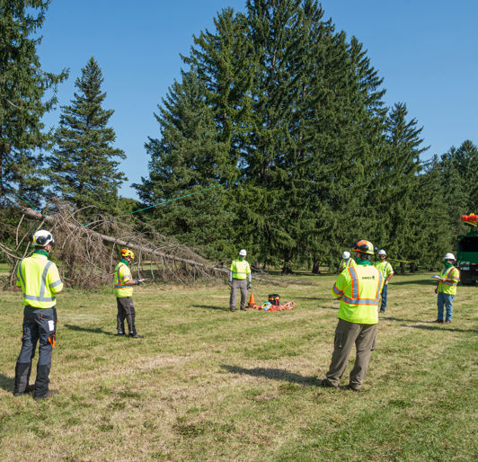 SEED Campus Lines Under Tension Training