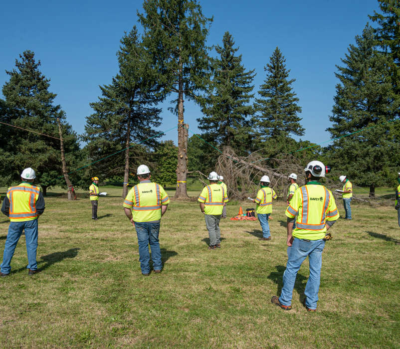 Employee Training