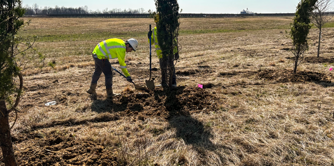 Planting