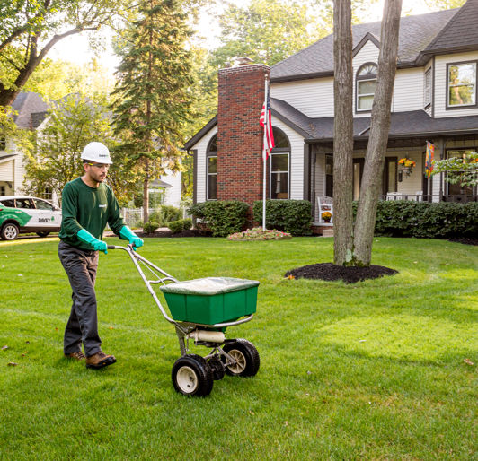 Lawn Fertilization
