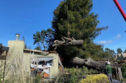Storm damage