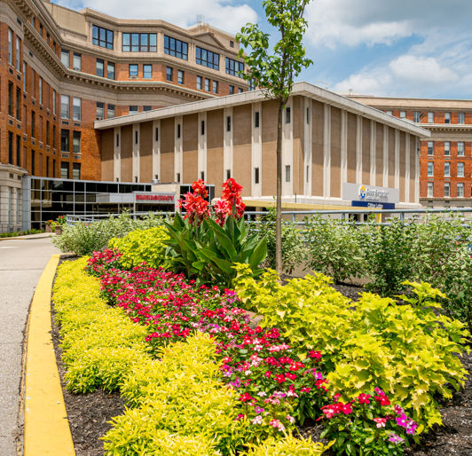 Landscape Enhancements Front Entrance