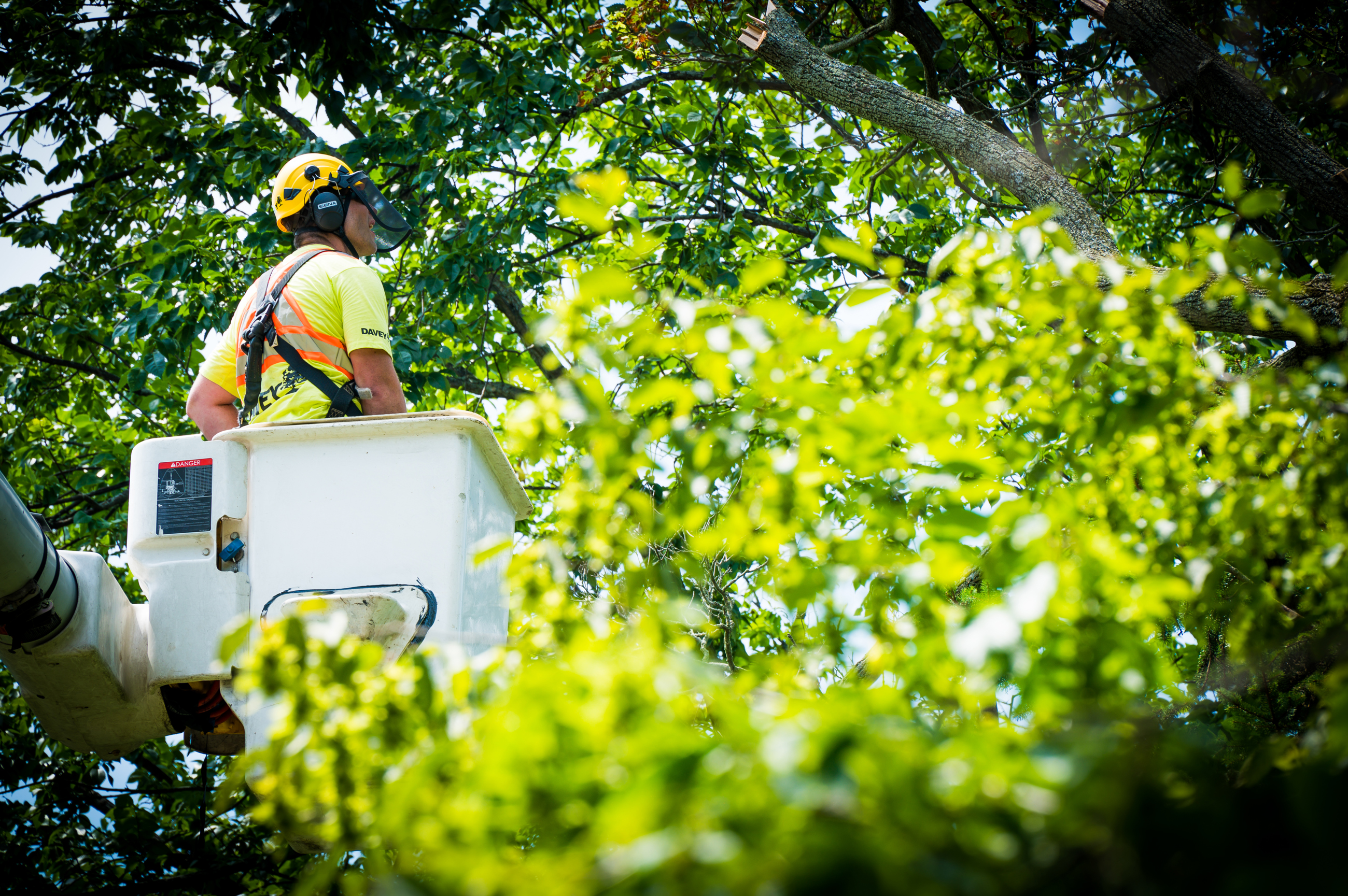 Four Seasons Joins Davey Canada Davey Tree