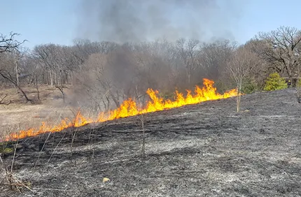 Prescribed Burns