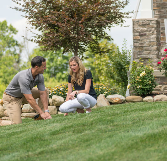 Lawn Inspection after Lawn Aeration and Overseeding