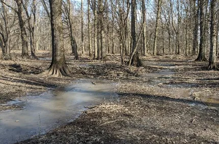 Winter Delineation