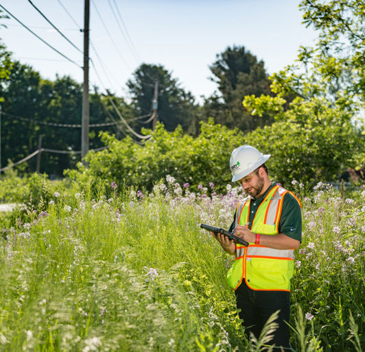 Vegetation Management Software