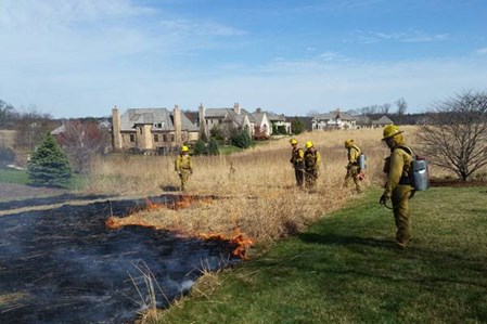 Winter Is Prime Time For Invasive Woody Plant Control | Davey Tree