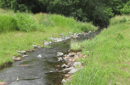 Williamspipeline Banner 1440X500