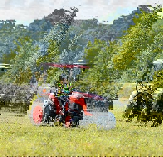 Invasive Vegetation Control