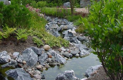 Stream And Wetlands