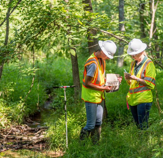 what is Watershed Planning