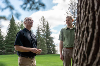 Two arborists inspecting a tree