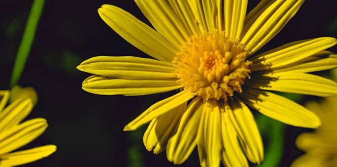 Project Profile Ocean County Airport Banner 1440X500