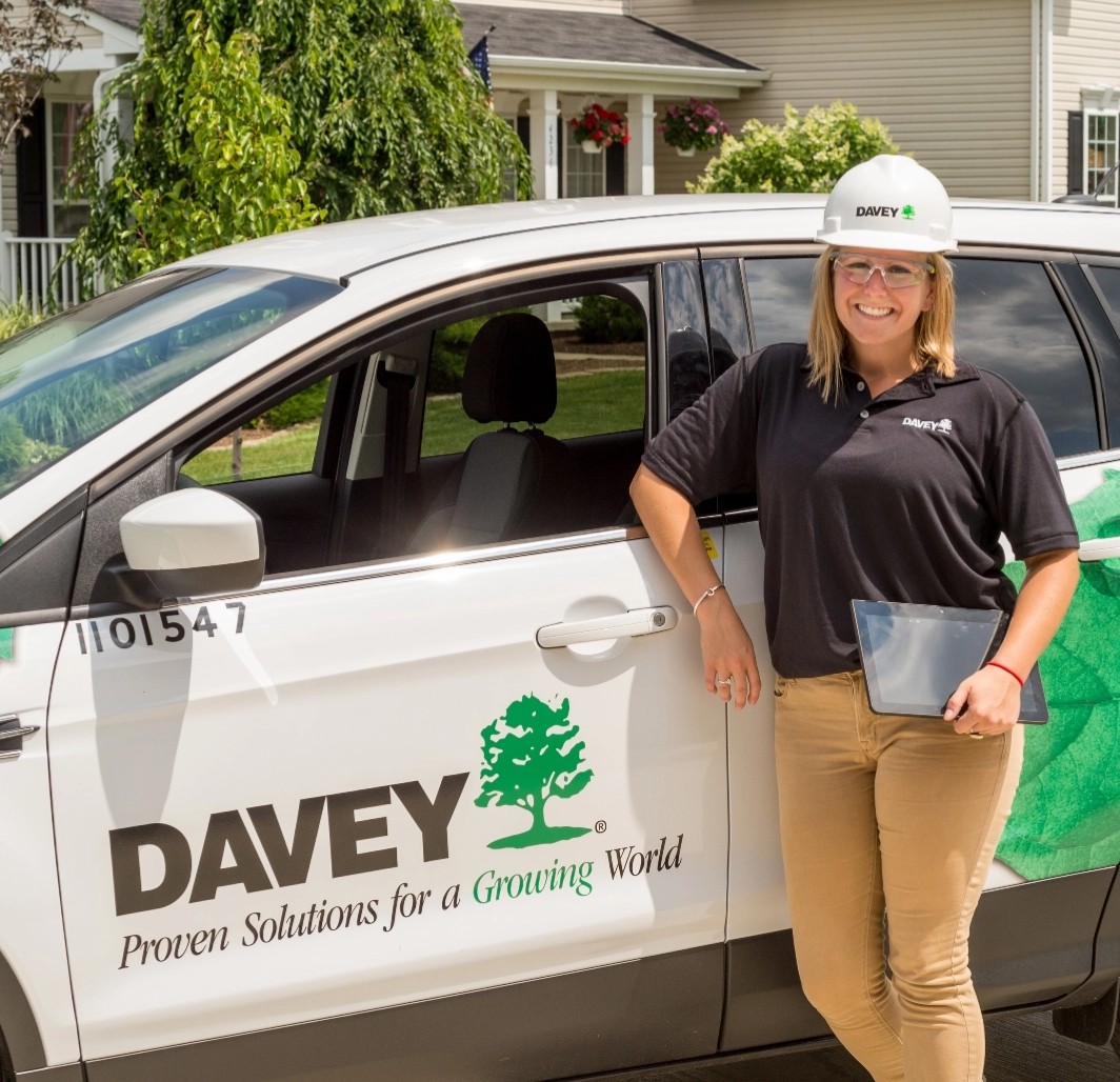 Davey Tree Services Near Santa Cruz CA Davey Tree