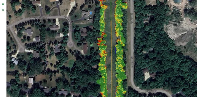 Wild Rice Electric 1