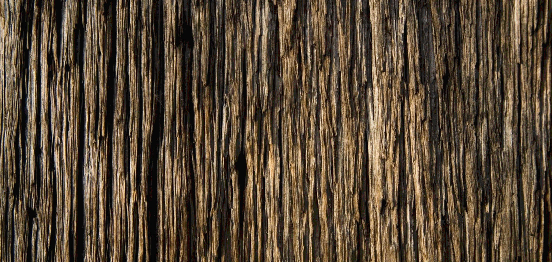Woodgrain