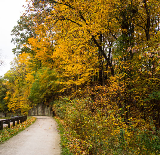 H2sandruntrail