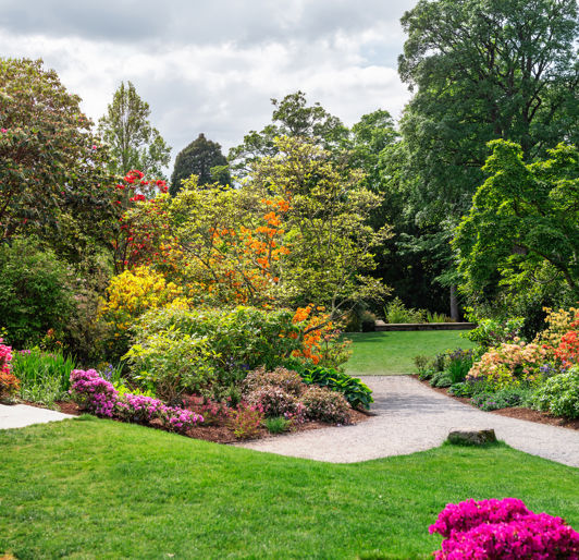 Summer Landscape