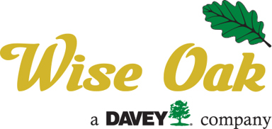 Wise Oak company logo